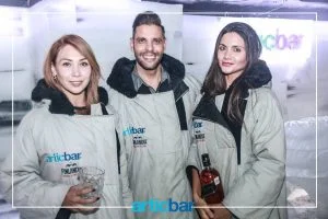 artic bar cdmx antro
