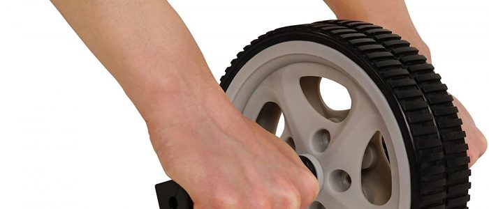 rueda-de-ejercicio rueda-de-ejercicio