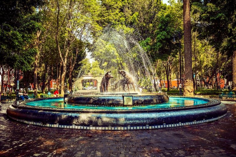 Los mejores restaurantes en Coyoacán