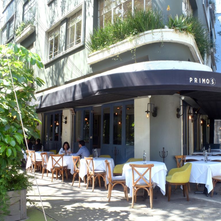 Primos Condesa