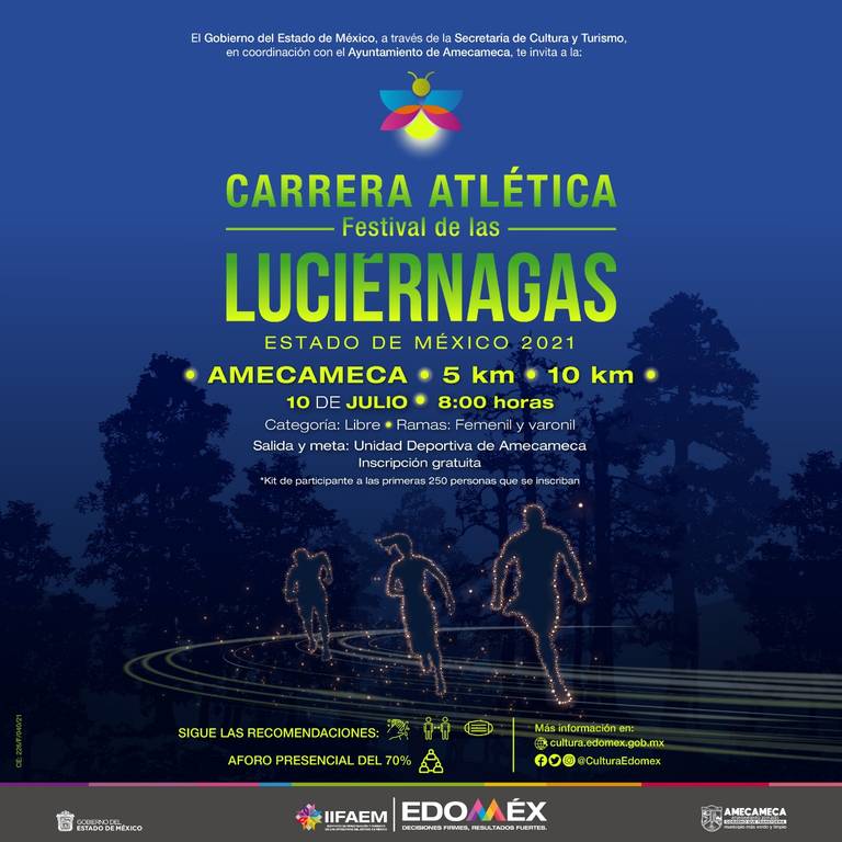 Festival de Luciérnagas en Amecameca