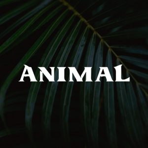 logotipo animal masaryk