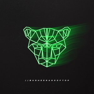 bagheera rooftop satelite logo