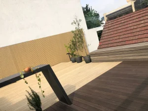 Terraza Polanco 1 - 2