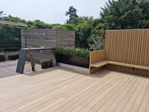 Terraza Polanco 1 - 8